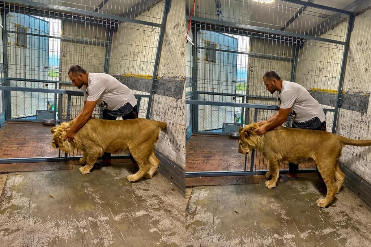 Коллаж из фотографий со страницы Кирилла Осина в Facebook