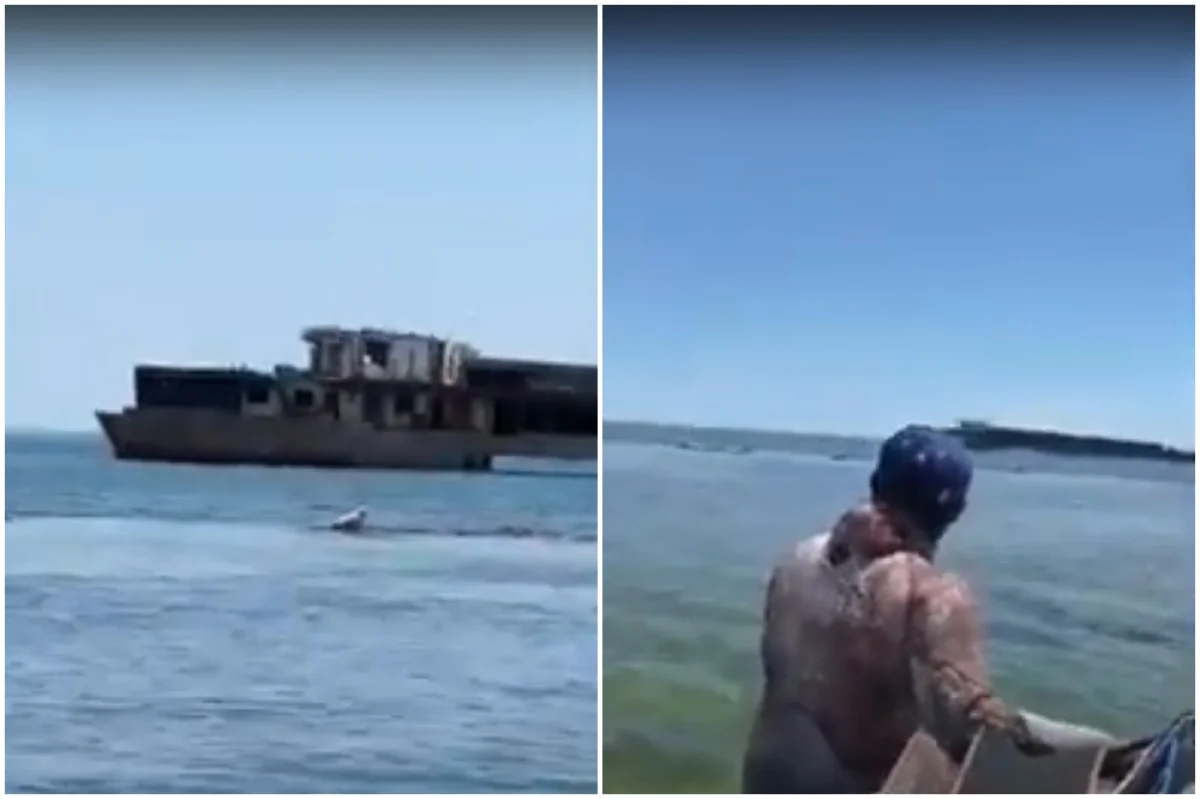 Коллаж из скриншотов видеоматериала