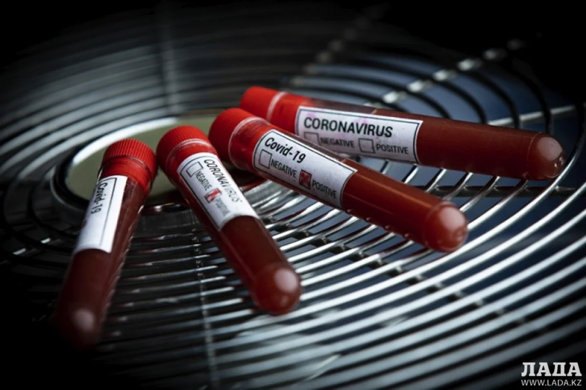 Иллюстративное фото с сайта platon.asia