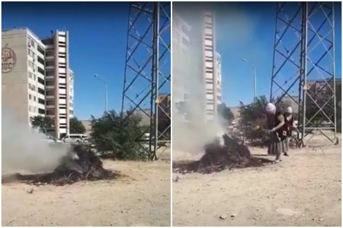 Коллаж из скриншотов видеоматериала