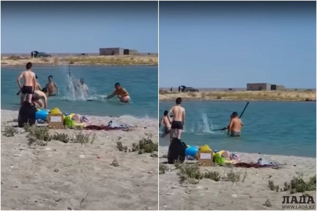 Коллаж из скриншотов видеоматериала