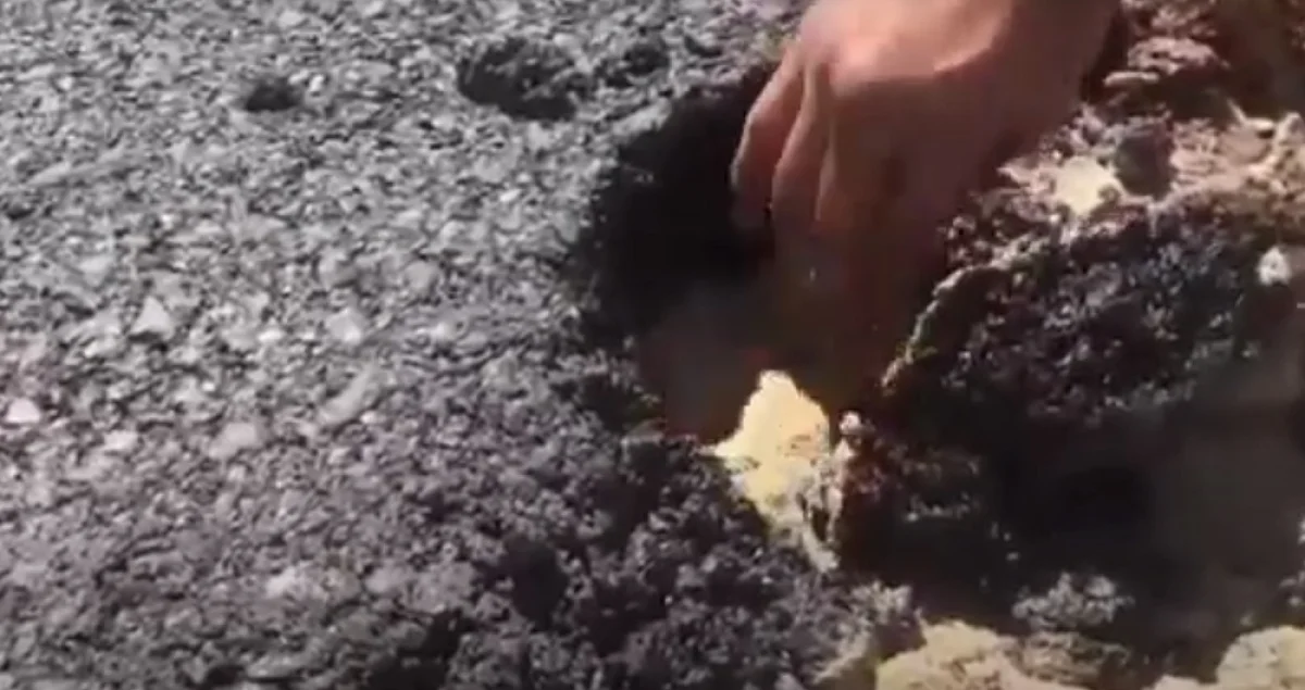 Скриншот видеоматериала