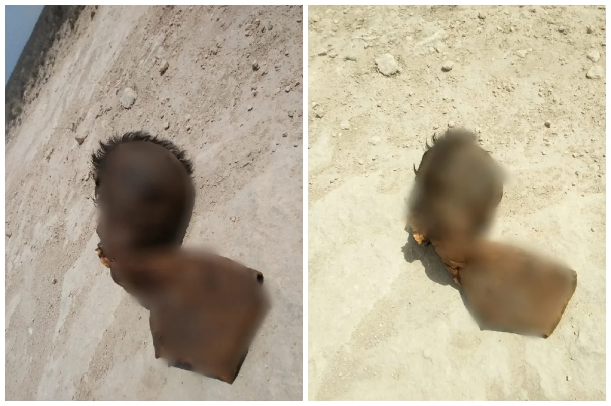 Фото пользователей Сети