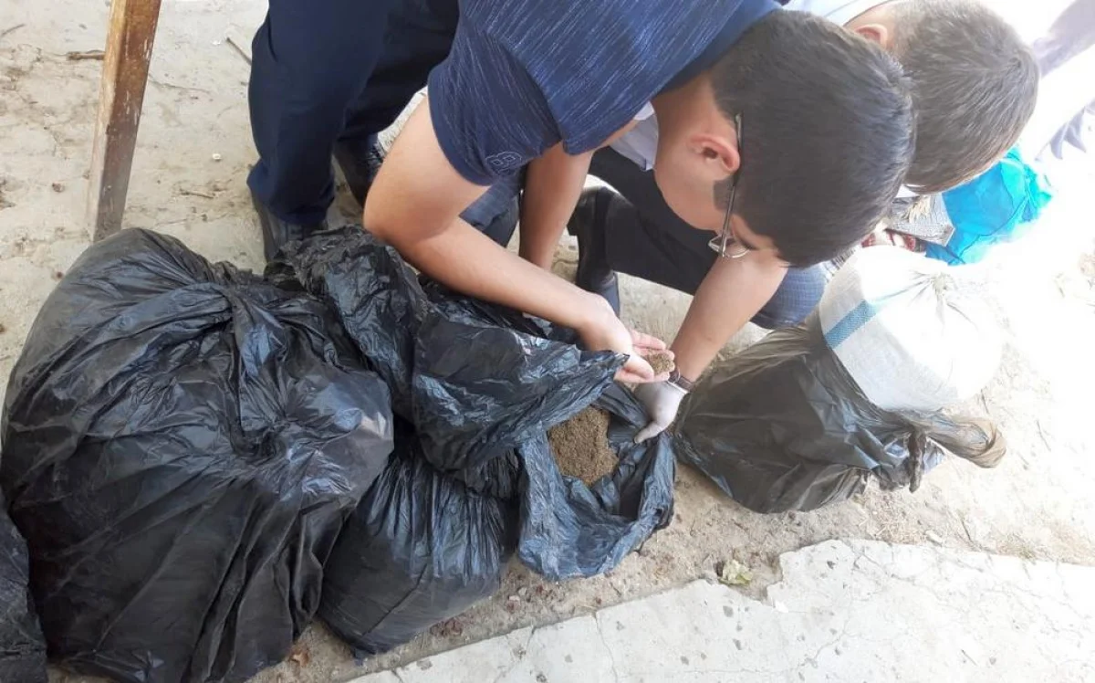 Фото из архива «Лады»