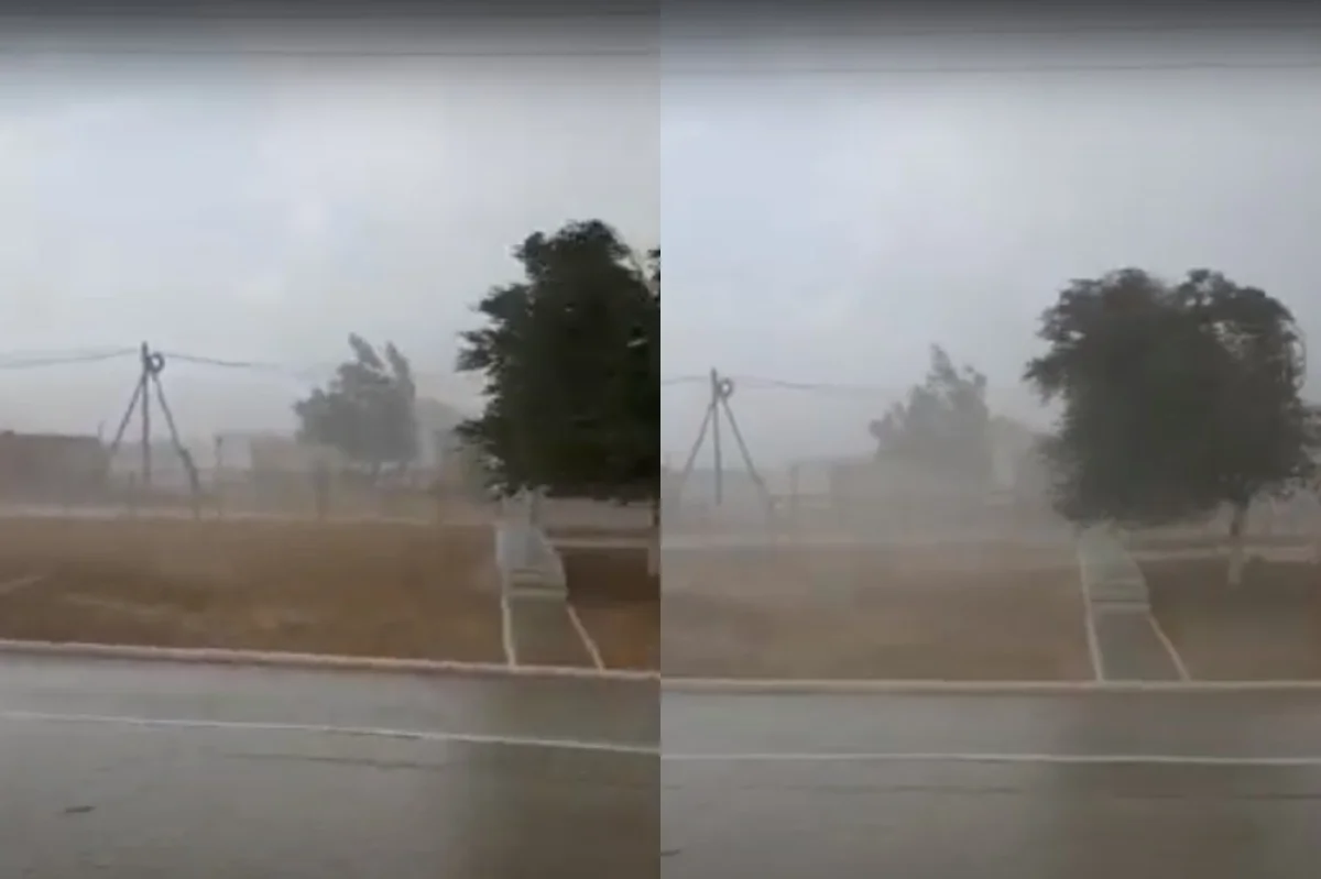 Коллаж из скриншотов видеоматериала