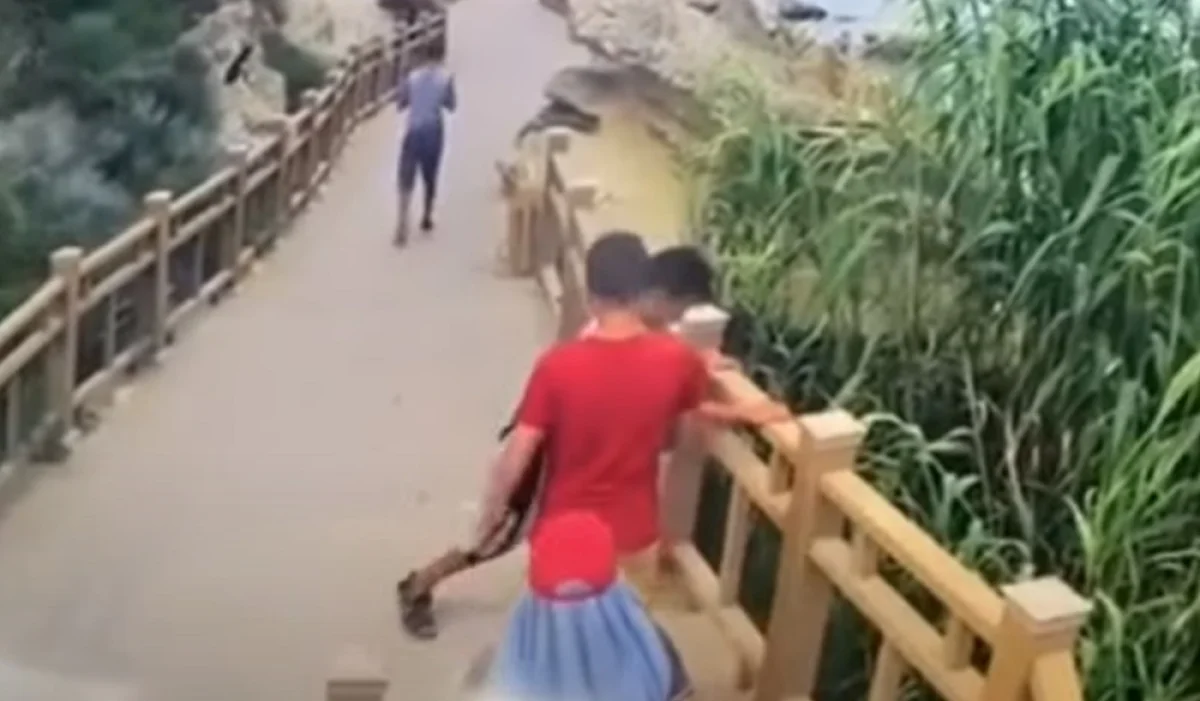 Скриншот видеоматериала