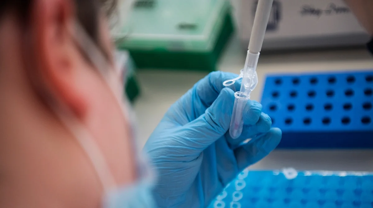 Фото из доступных источников