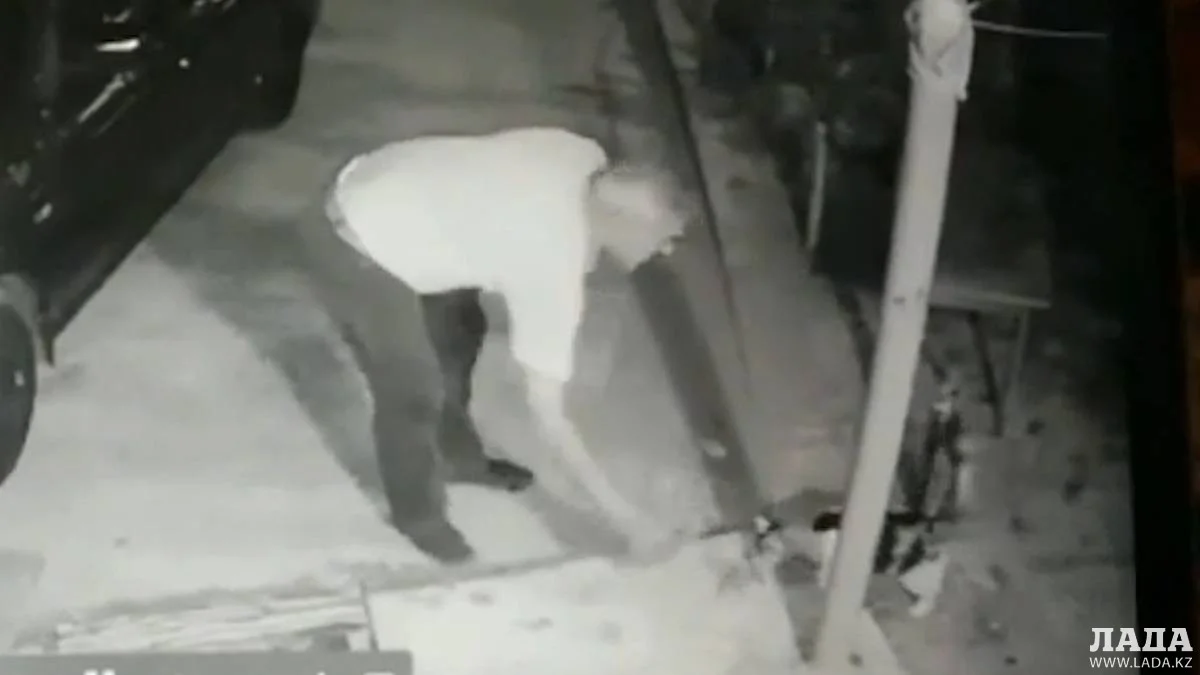 Скрин видео