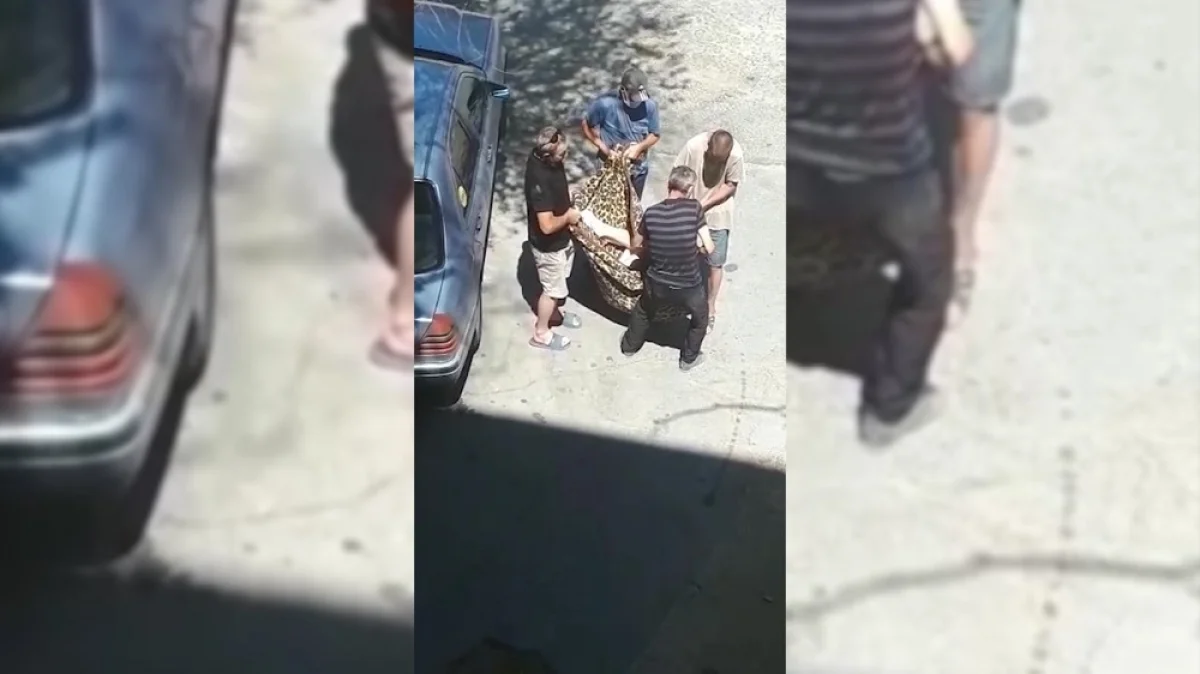 Скриншот видеоматериала