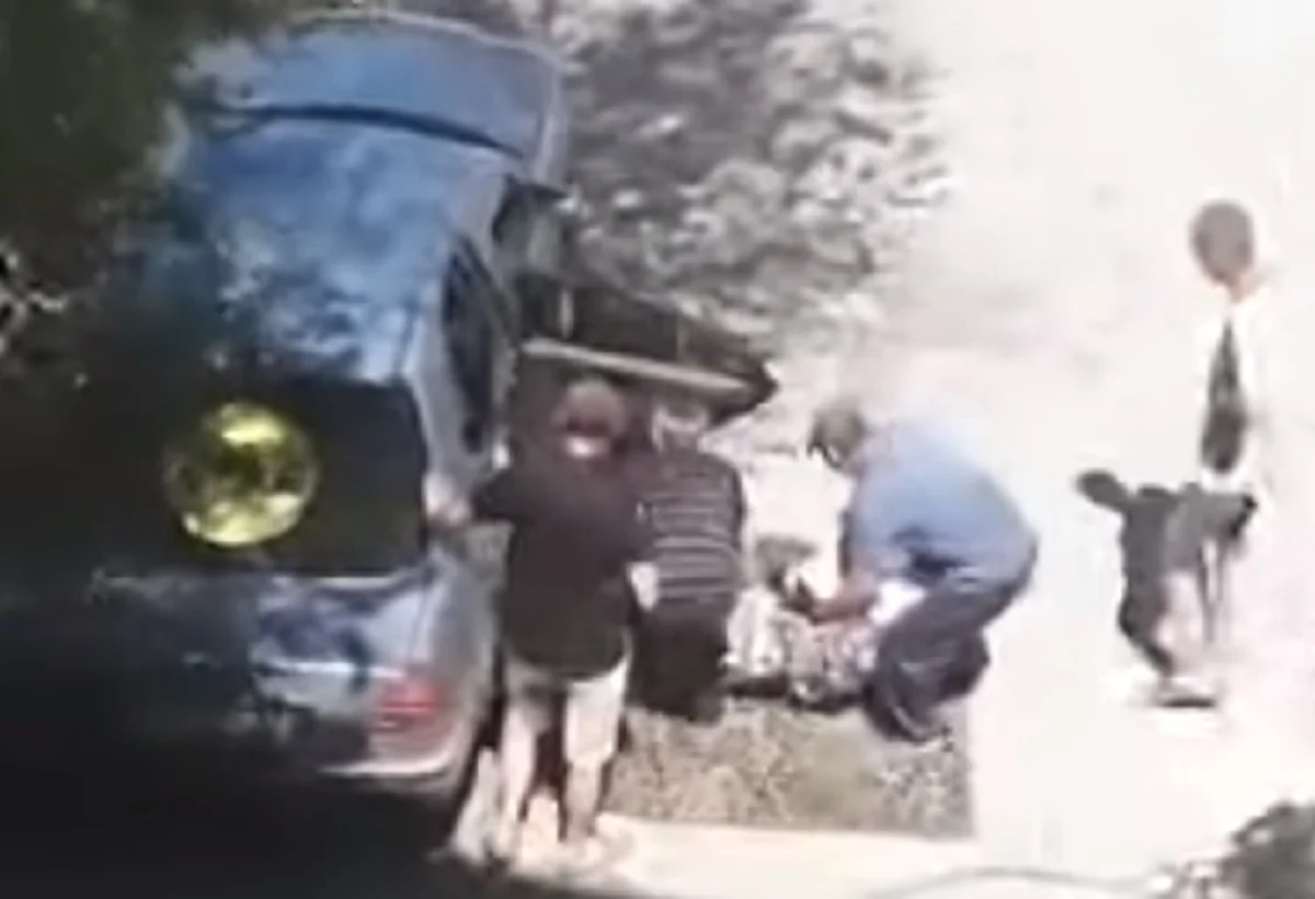 Скриншот видеоматериала