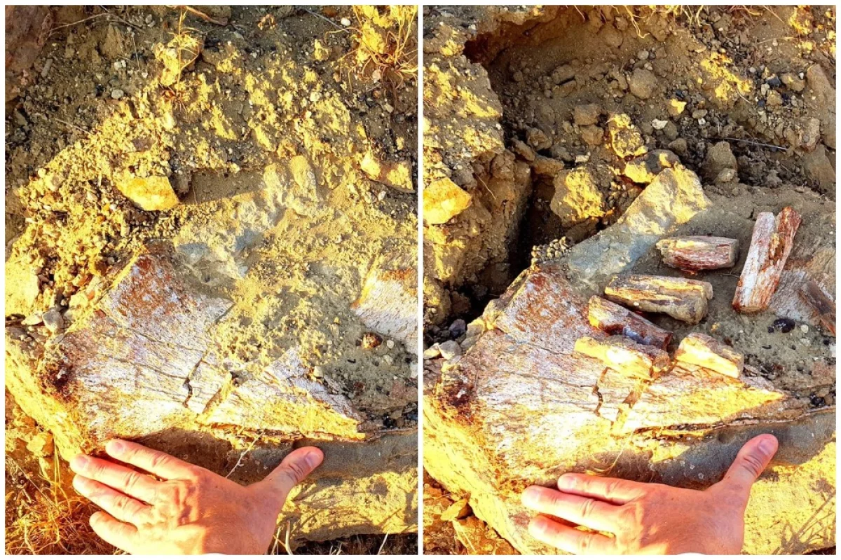 Фото предоставлено Владимиром Ярцевым