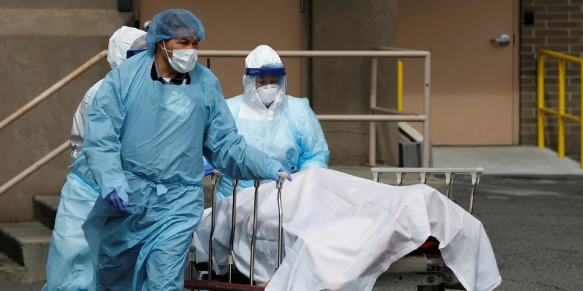 Фото из доступных источников