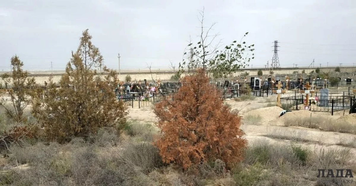 Фото из архива lada.kz