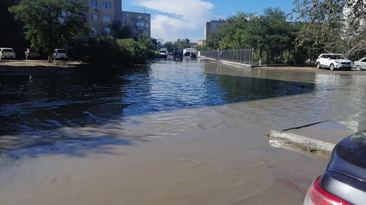 Фото автора