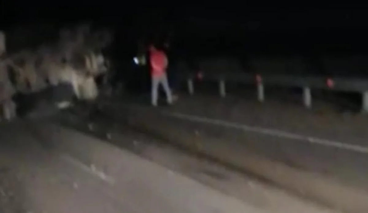 Скрин видео