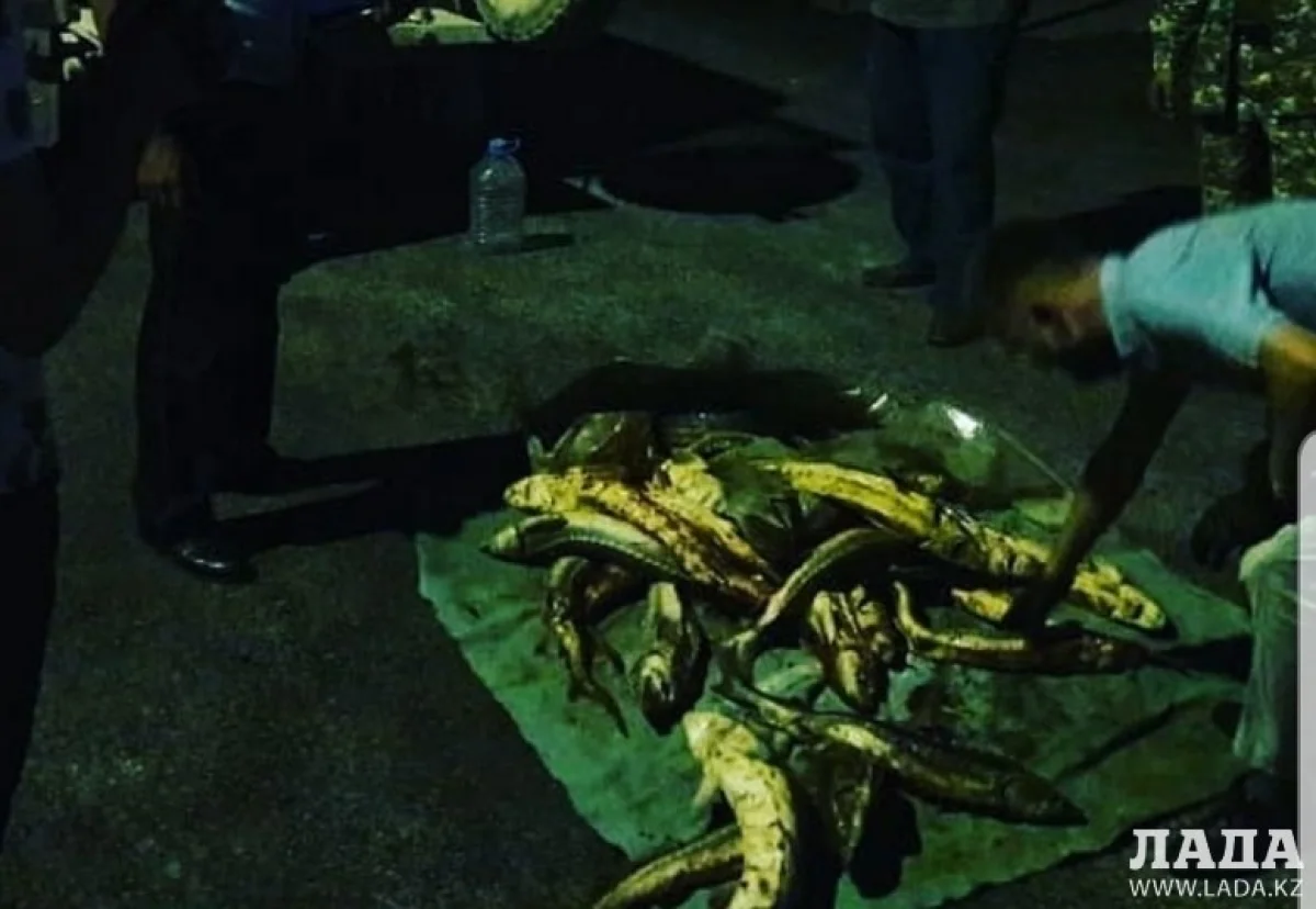 Фото пресс-службы ДП Мангистауской области