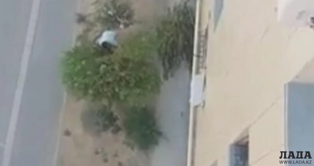 Скрин видео