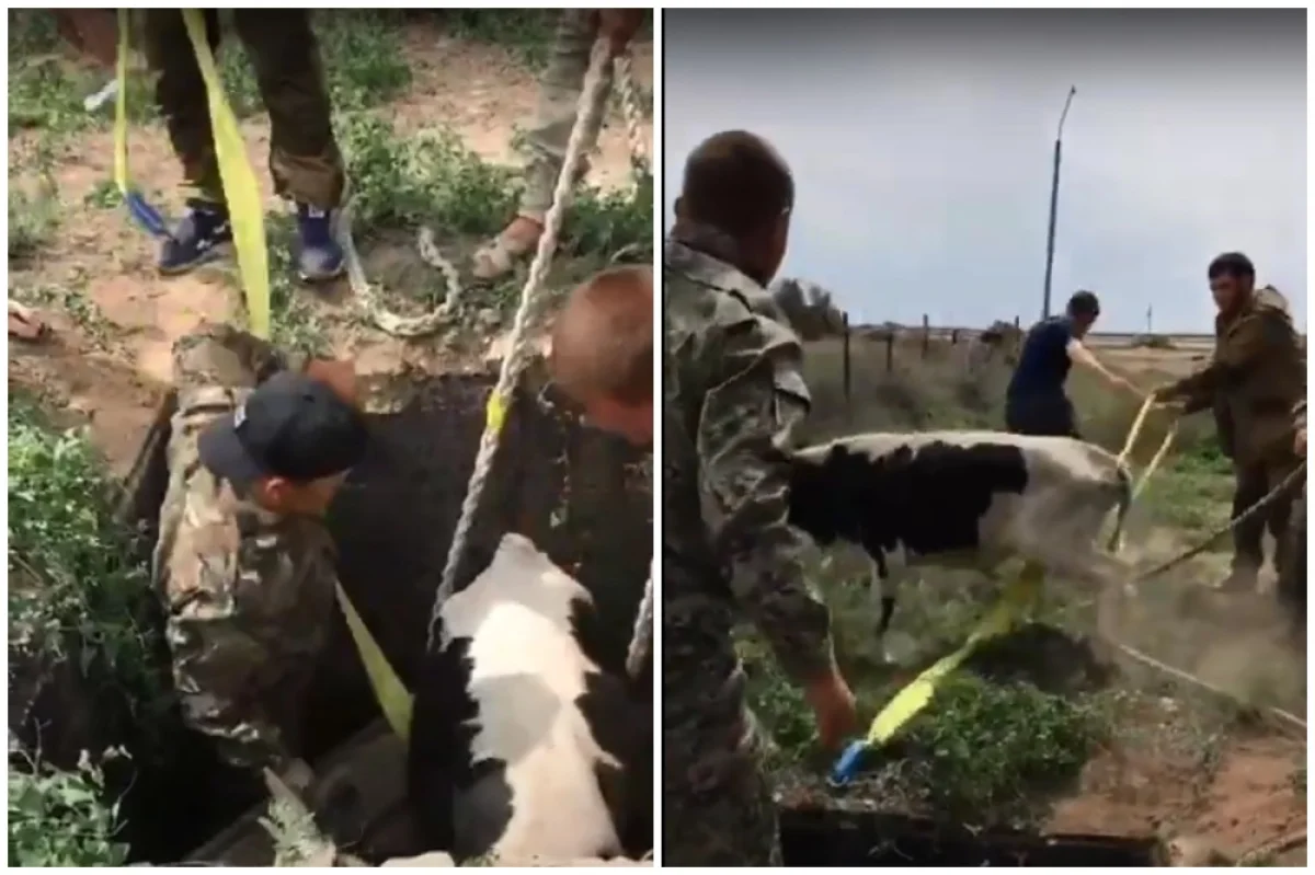 Коллаж из скриншотов видеоматериала