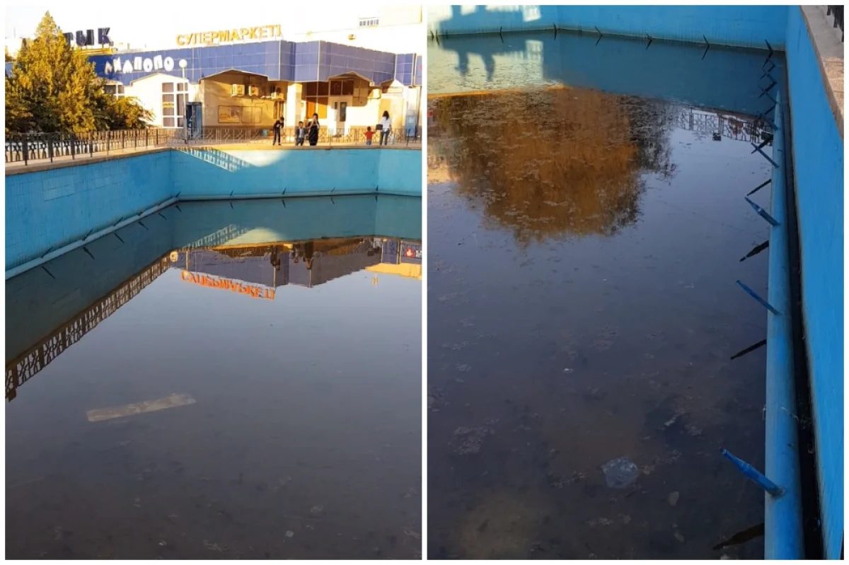 Коллаж из скриншотов видеоматериала