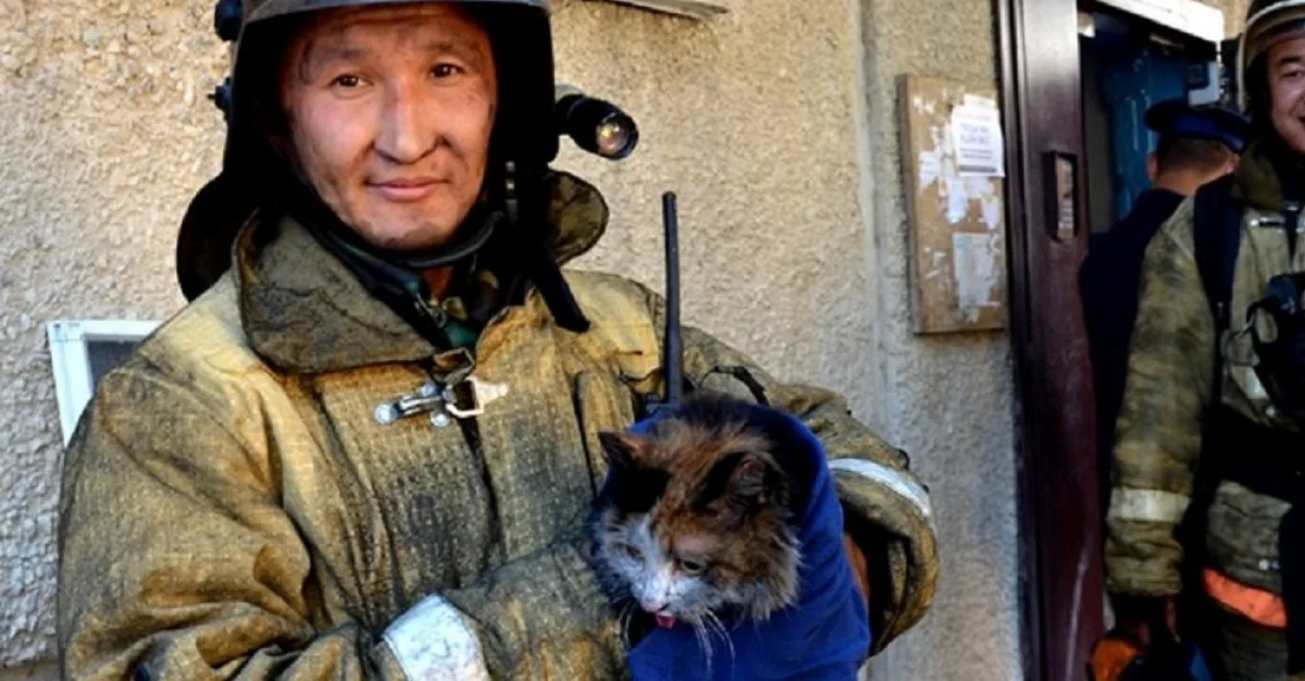 Фото предоставили в службе пожаротушения