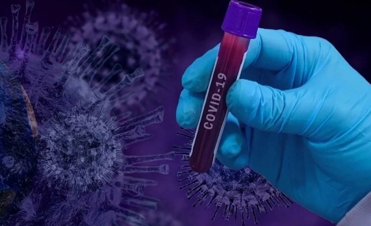 Фото из доступных источников