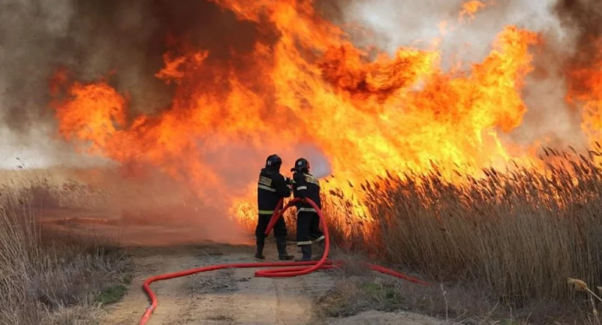 Фото sputniknews.kz