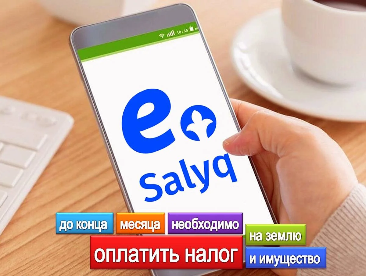 Иллюстративное фото