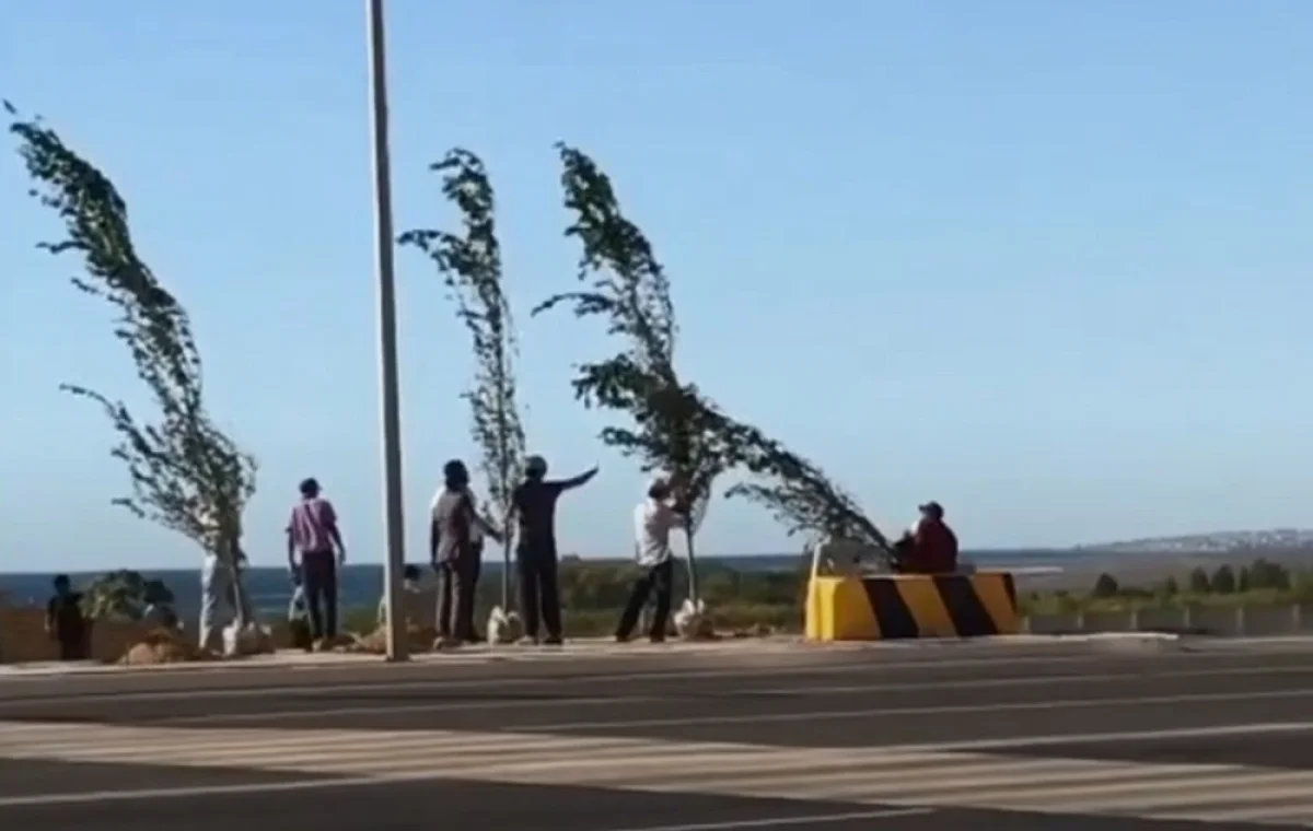 Скриншот видеоматериала