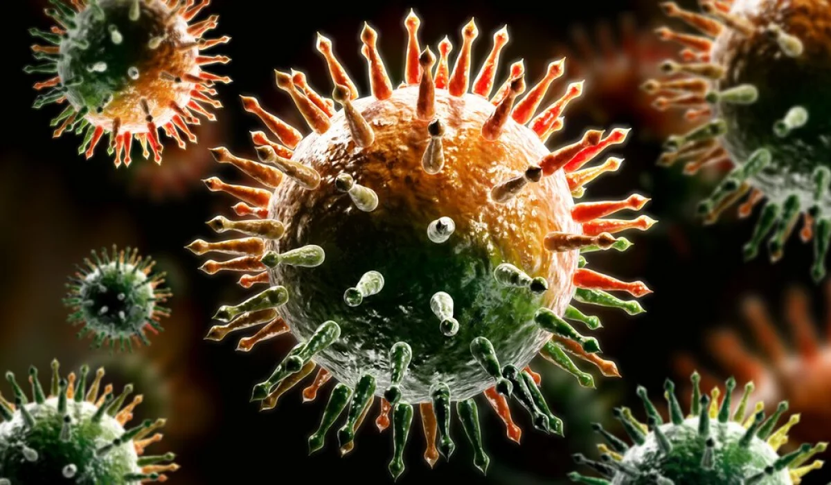 Фото из доступных источников