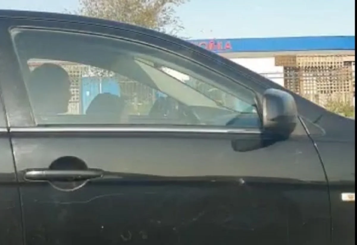 Скрин видео