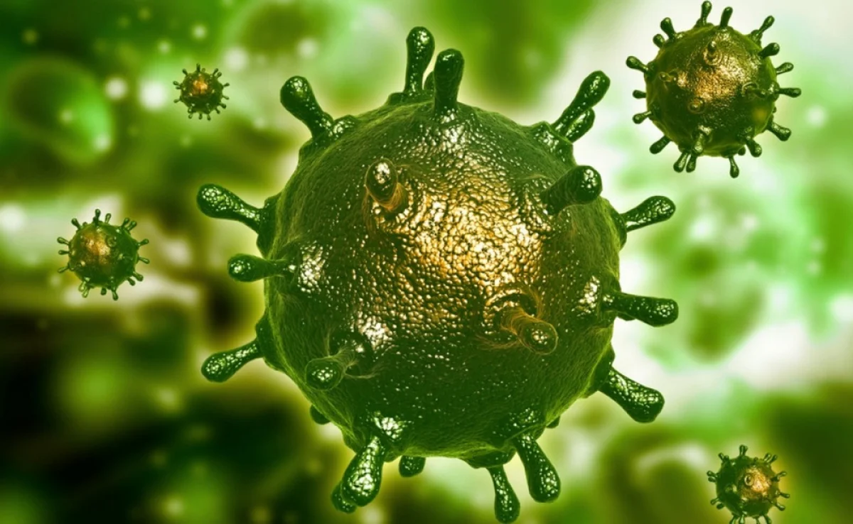 Фото из доступных источников