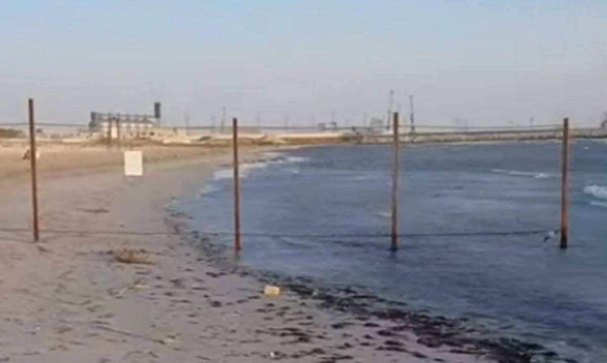 Скрин видео