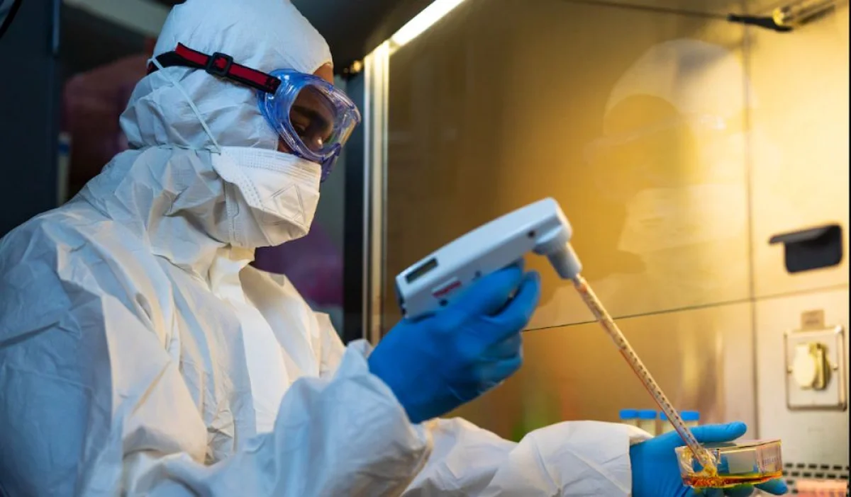 Фото из доступных источников