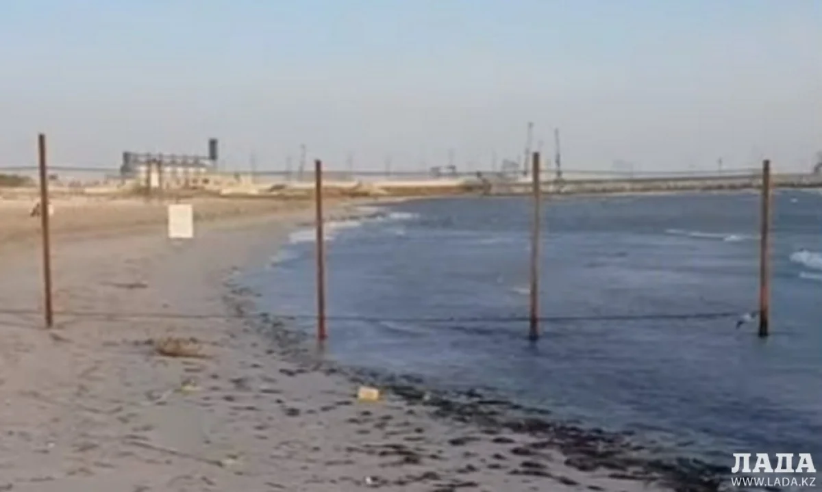 Скрин видео