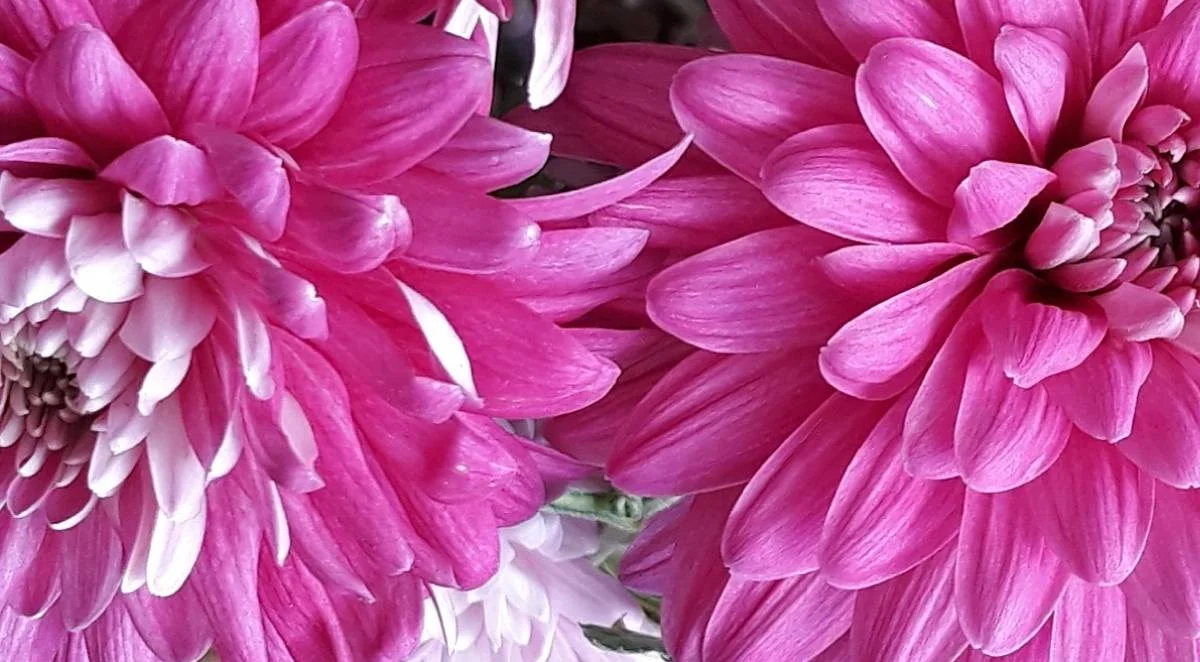 Фото пресс-службы ведомства