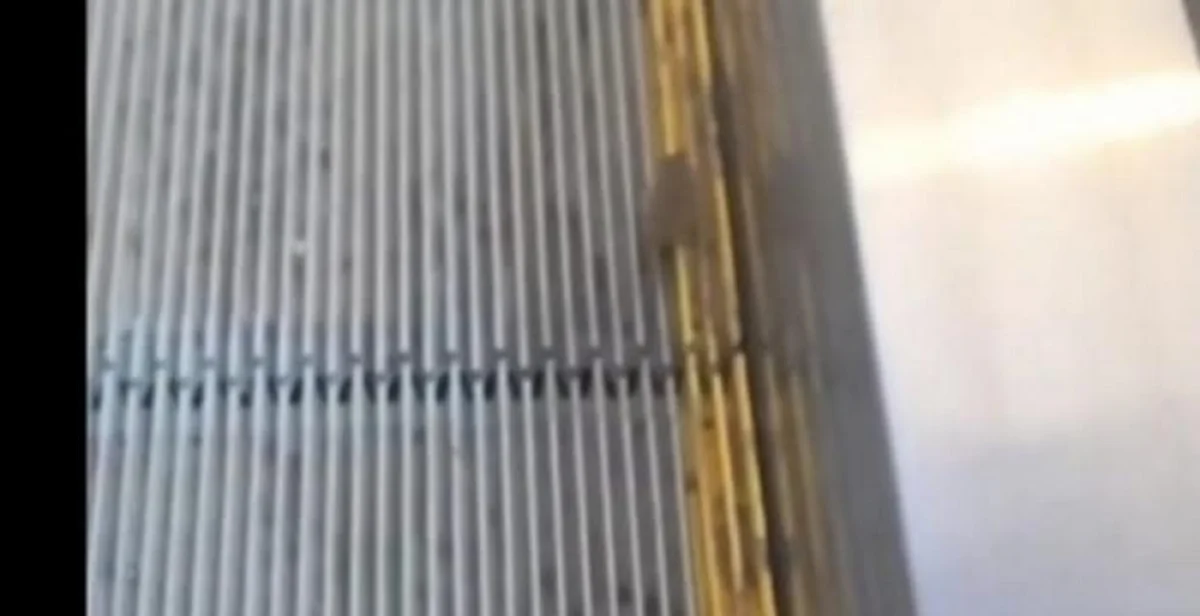 Скрин видео