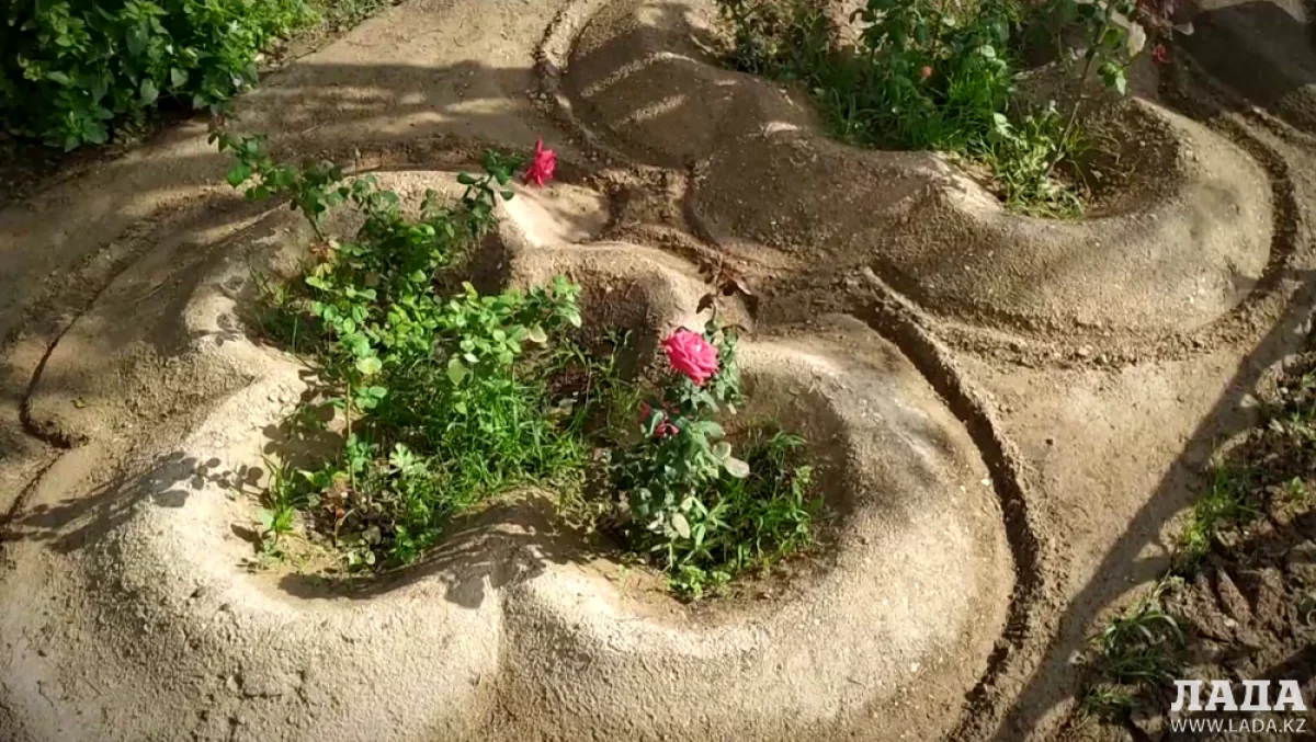 Оригинальные лунки осужденного. Кадр видео