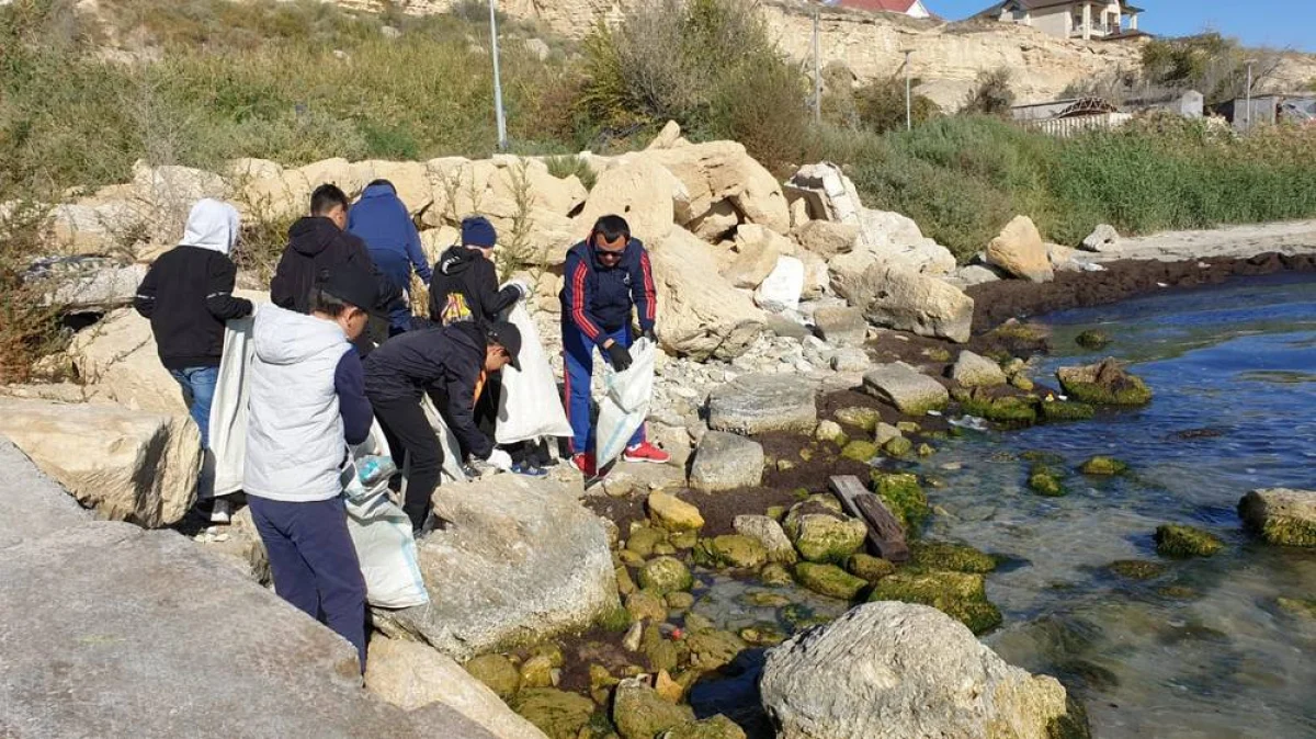 Фото предоставили в федерации парусного спорта Мангистауской области