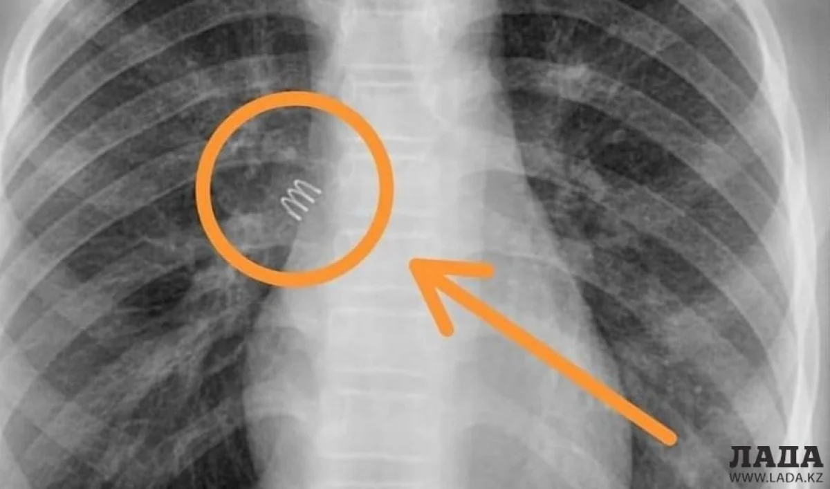 Фото клиники &quot;Sofie Medgroup&quot;.