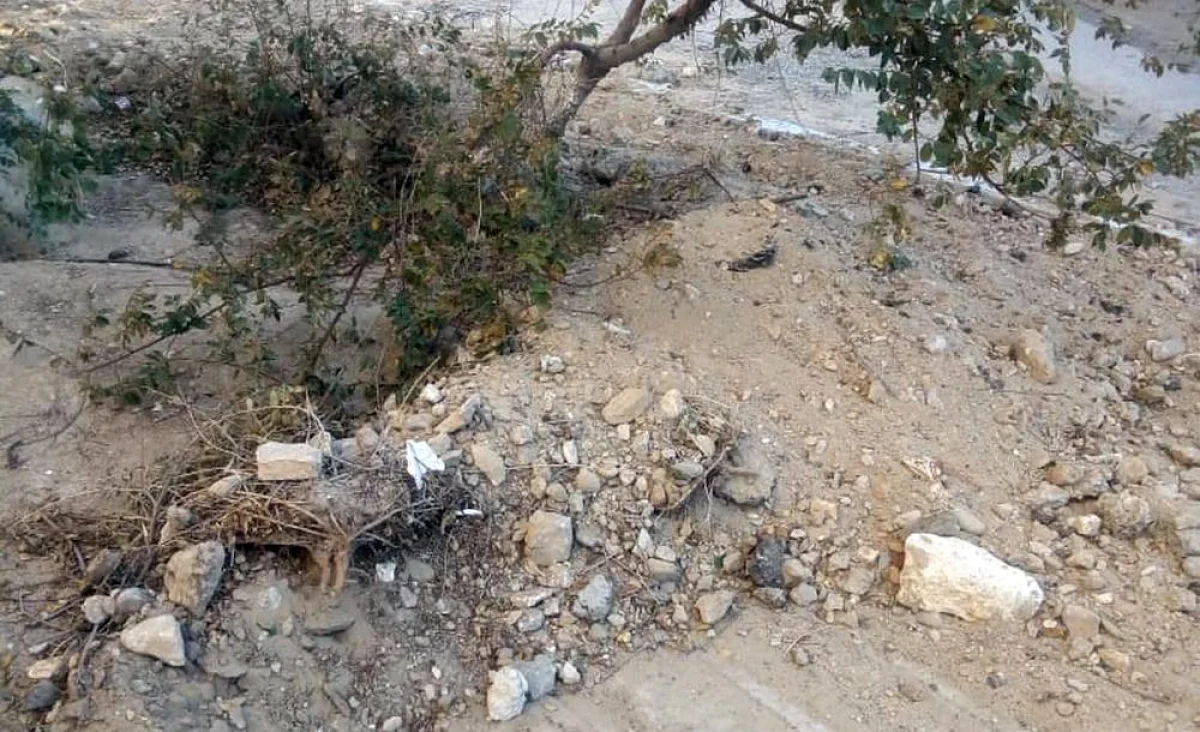 Фото жителей дома №3