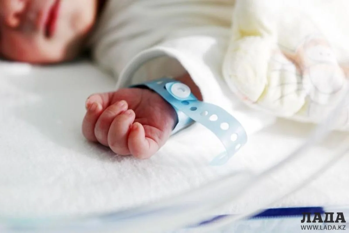 Иллюстративное фото