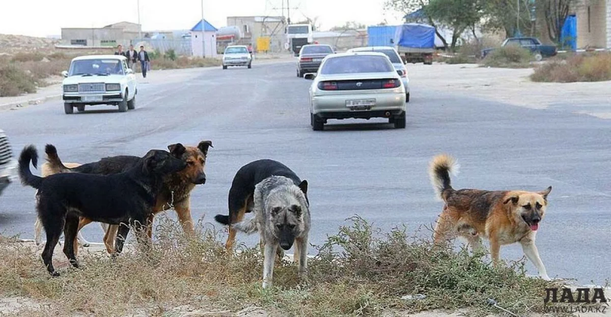 Фото из архива «Лады»