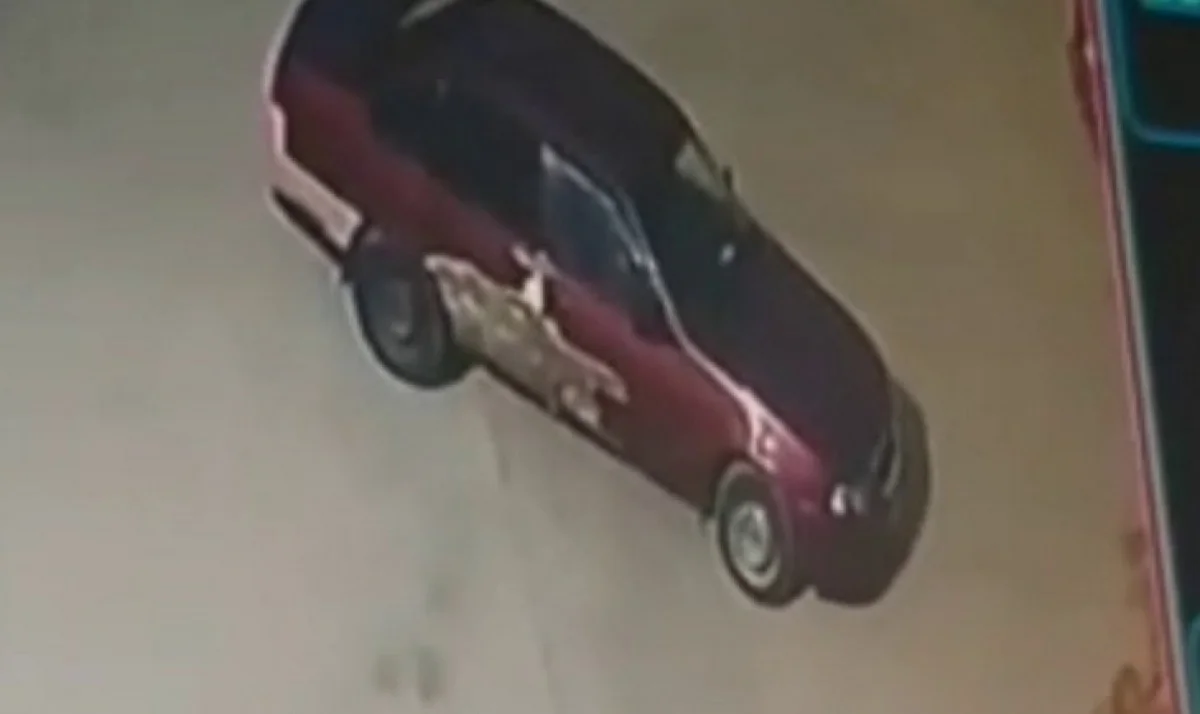 Скрин видео