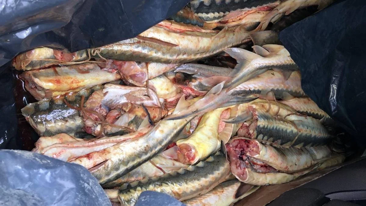 Фото пресс-службы ведомства