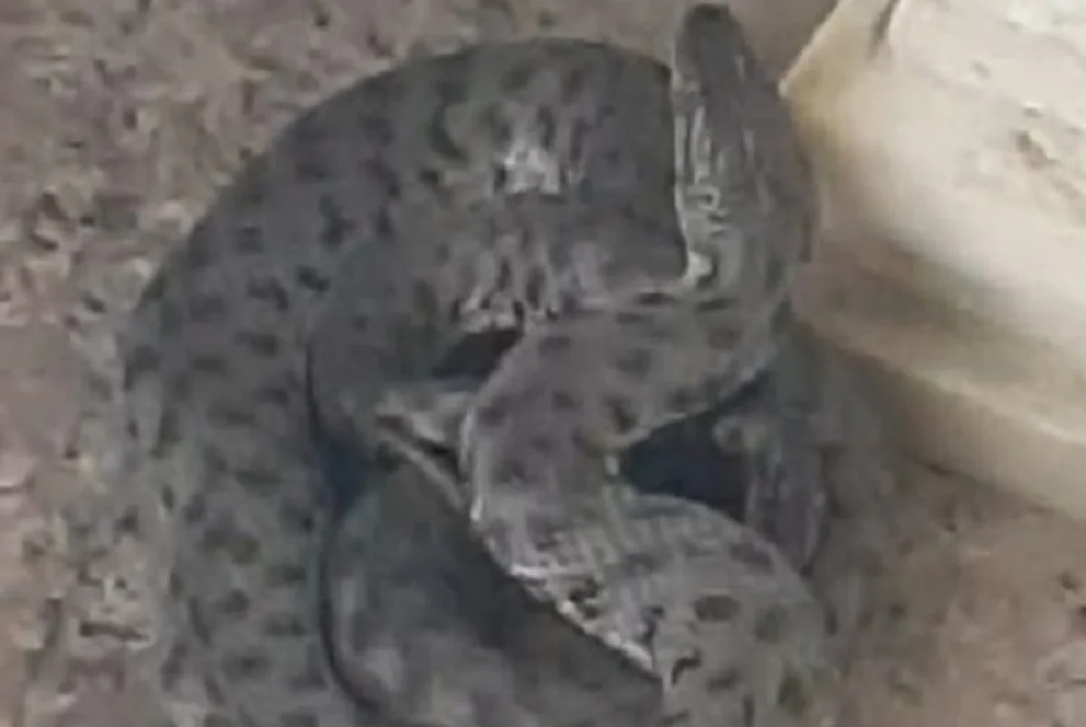 Фото пресс-службы ведомства