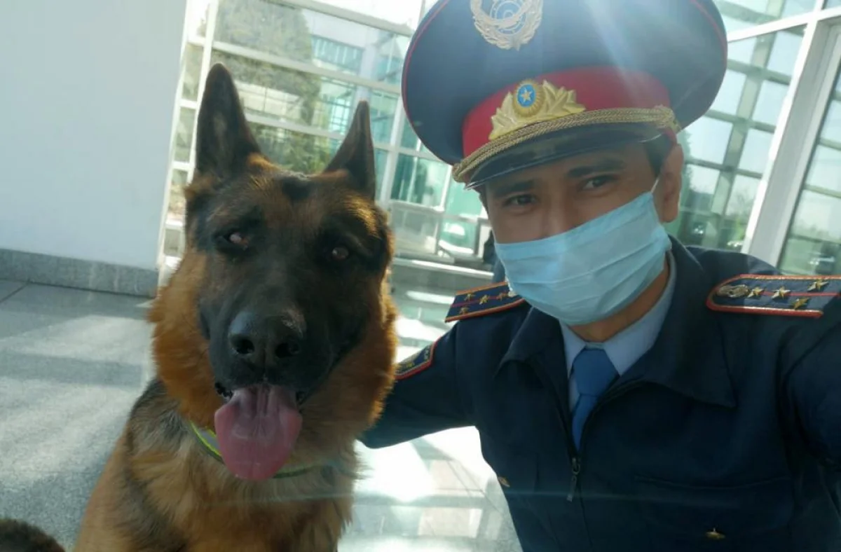 Фото предоставил художественный руководитель проекта Бахыт Килибаев