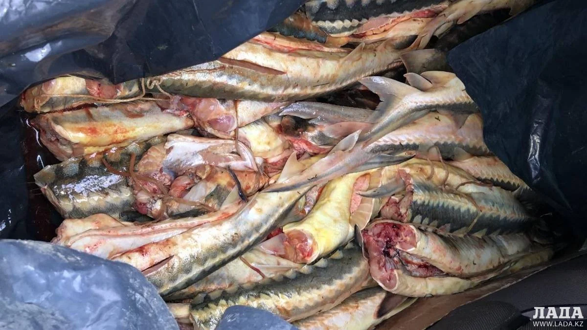 Фото из архива Lada.kz