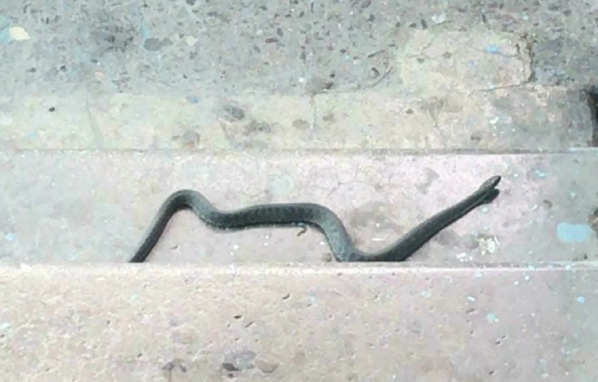 Фото очевидцев