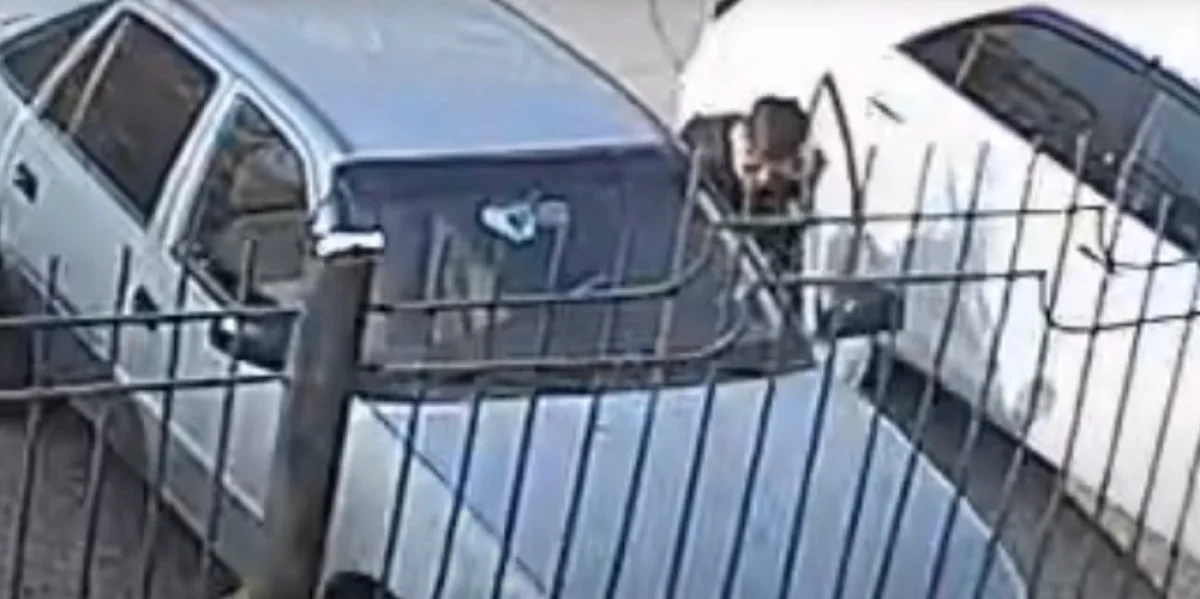 Скриншот видеоматериала