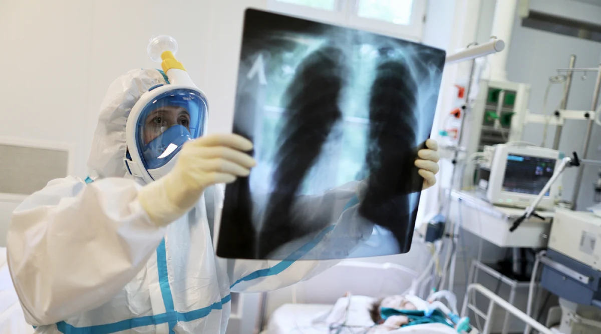 Фото из Сети интернет